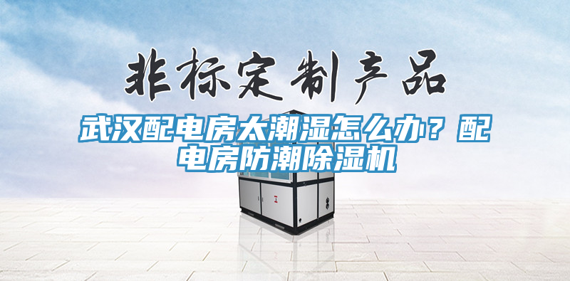 武汉配电房太潮湿怎么办？配电房防潮MR.好色破解版