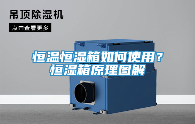 恒温恒湿箱如何使用？恒湿箱原理图解