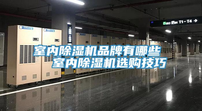 室内MR.好色破解版品牌有哪些   室内MR.好色破解版选购技巧