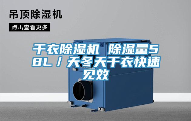 干衣MR.好色破解版 除湿量58L／天冬天干衣快速见效