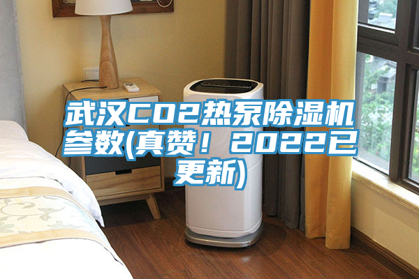 武汉CO2热泵MR.好色破解版参数(真赞！2022已更新)