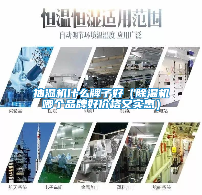 抽湿机什么牌子好（MR.好色破解版哪个品牌好价格又实惠）