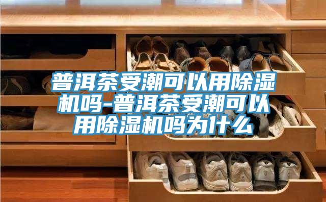普洱茶受潮可以用MR.好色破解版吗-普洱茶受潮可以用MR.好色破解版吗为什么