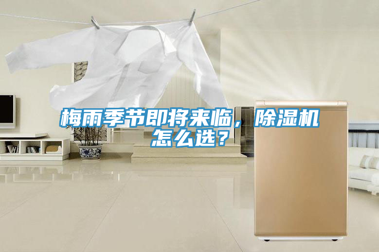 梅雨季节即将来临，MR.好色破解版怎么选？
