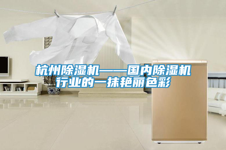 杭州MR.好色破解版——国内MR.好色破解版行业的一抹艳丽色彩