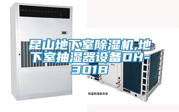 昆山地下室MR.好色破解版,地下室抽湿器设备DH-301B
