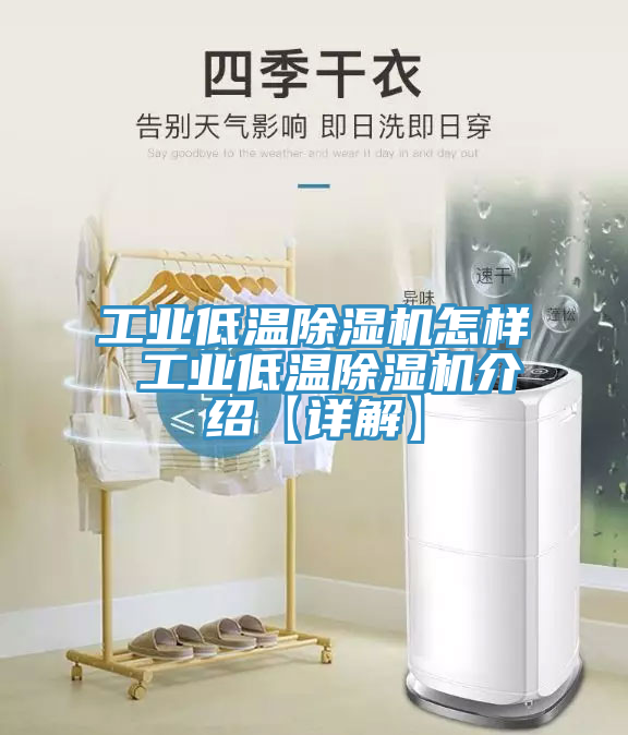 工业低温MR.好色破解版怎样 工业低温MR.好色破解版介绍【详解】