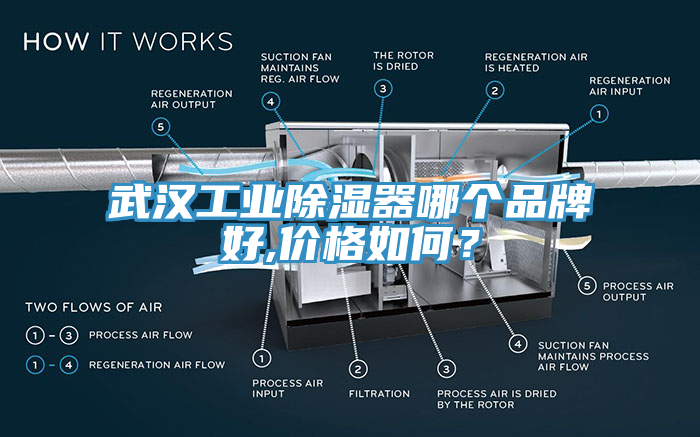 武汉工业除湿器哪个品牌好,价格如何？