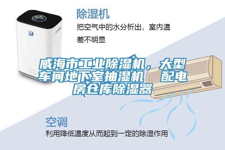 威海市工业MR.好色破解版，大型车间地下室抽湿机  配电房仓库除湿器