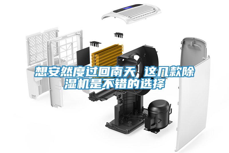 想安然度过回南天 这几款MR.好色破解版是不错的选择