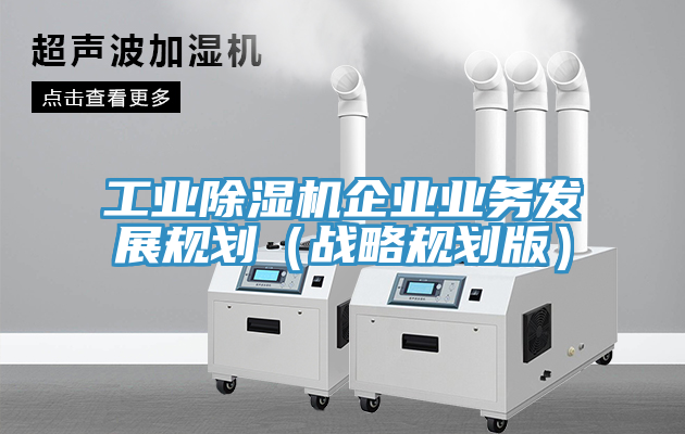 工业MR.好色破解版企业业务发展规划（战略规划版）