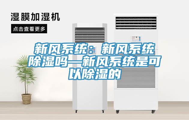 新风系统：新风系统除湿吗—新风系统是可以除湿的