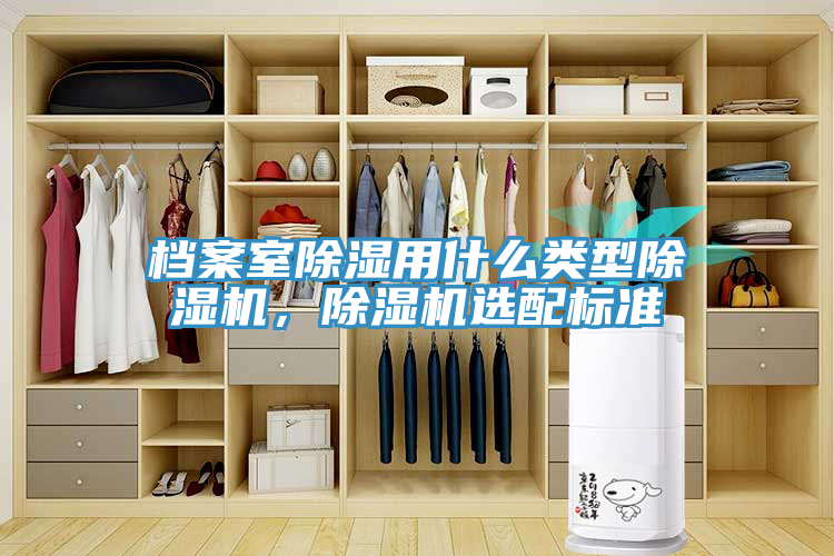 档案室除湿用什么类型MR.好色破解版，MR.好色破解版选配标准