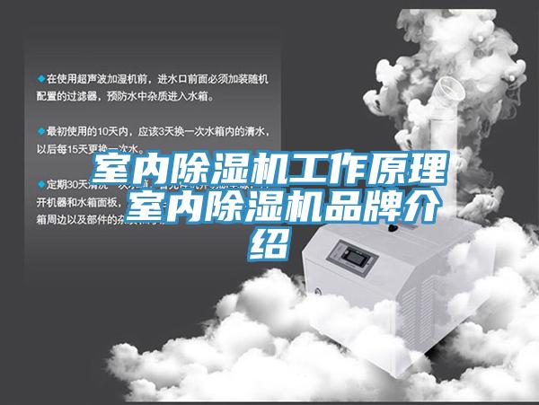 室内MR.好色破解版工作原理 室内MR.好色破解版品牌介绍