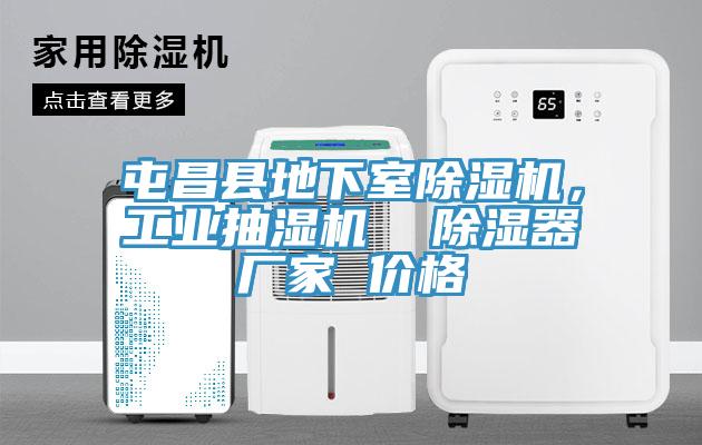 屯昌县地下室MR.好色破解版，工业抽湿机  除湿器厂家 价格