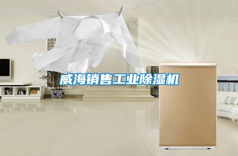 威海销售工业MR.好色破解版