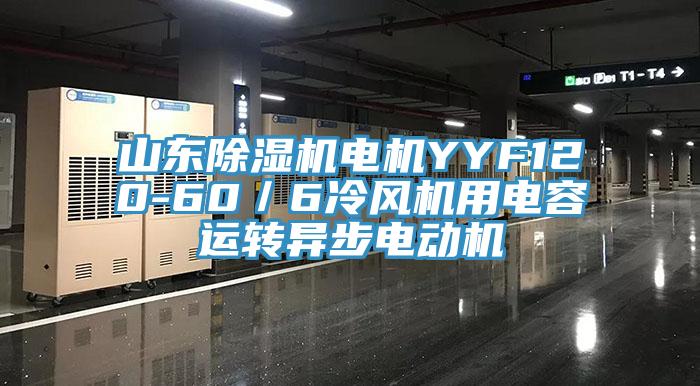山东MR.好色破解版电机YYF120-60／6冷风机用电容运转异步电动机
