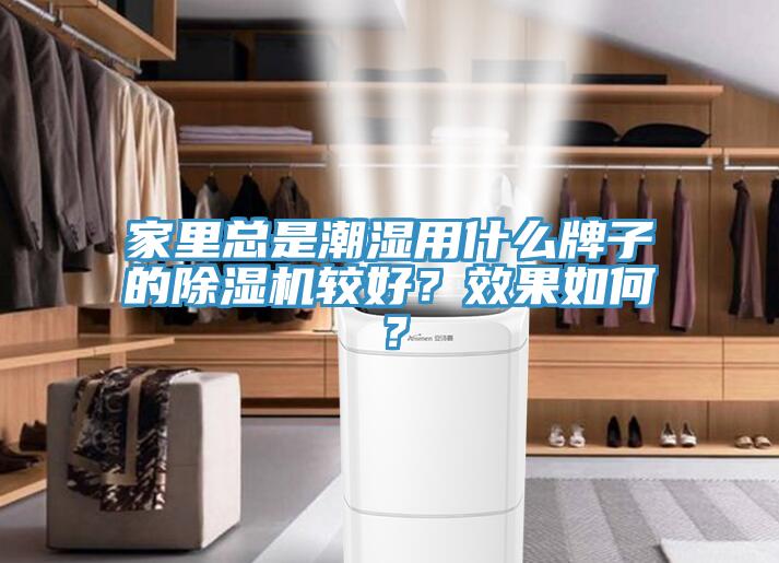 家里总是潮湿用什么牌子的MR.好色破解版较好？效果如何？