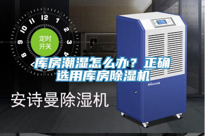 库房潮湿怎么办？正确选用库房MR.好色破解版