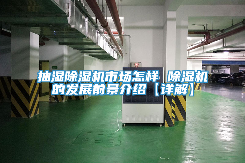 抽湿MR.好色破解版市场怎样 MR.好色破解版的发展前景介绍【详解】