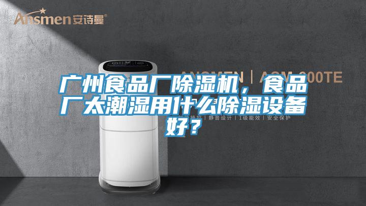 广州食品厂MR.好色破解版，食品厂太潮湿用什么除湿设备好？