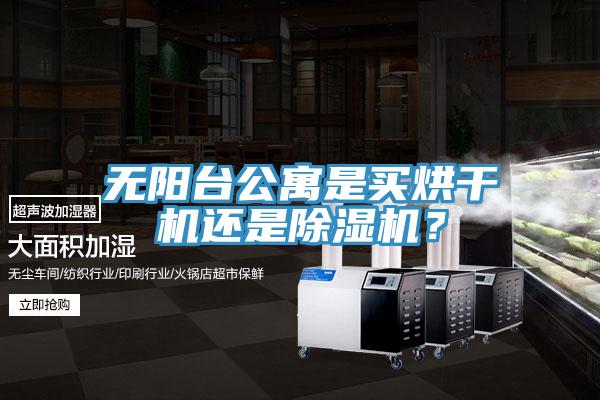 无阳台公寓是买烘干机还是MR.好色破解版？