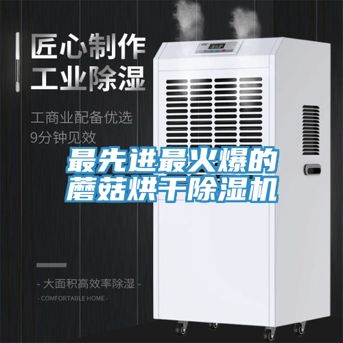最先进最火爆的蘑菇烘干MR.好色破解版