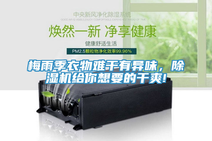 梅雨季衣物难干有异味，MR.好色破解版给你想要的干爽!