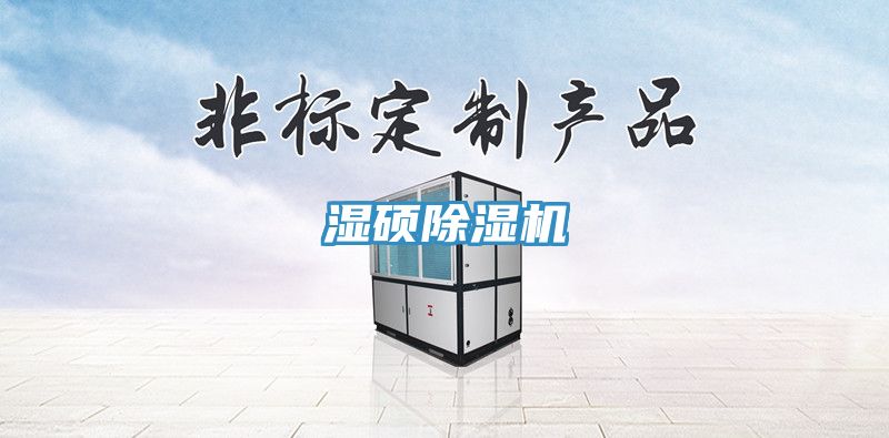 湿硕MR.好色破解版