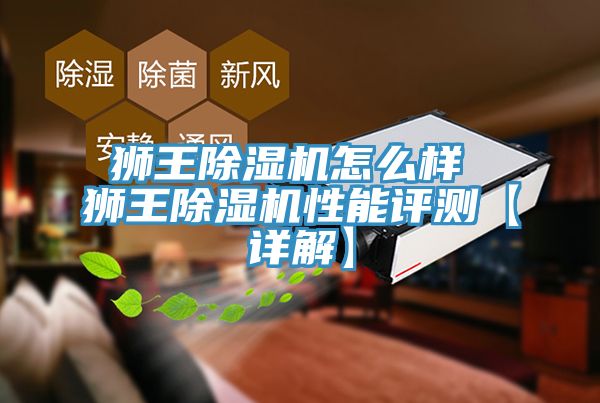 狮王MR.好色破解版怎么样 狮王MR.好色破解版性能评测【详解】