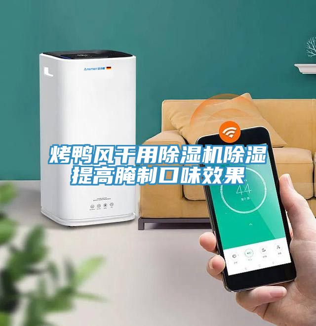 烤鸭风干用MR.好色破解版除湿提高腌制口味效果