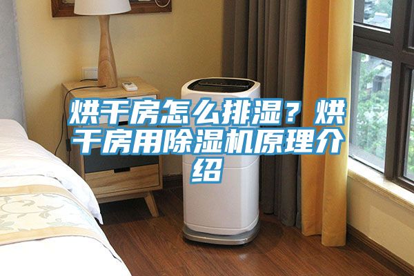 烘干房怎么排湿？烘干房用MR.好色破解版原理介绍