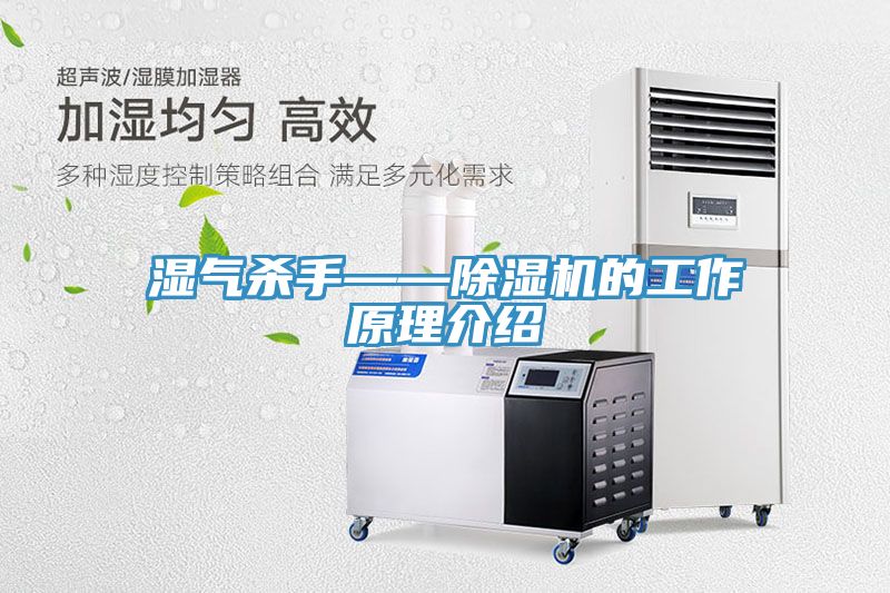 湿气杀手——MR.好色破解版的工作原理介绍