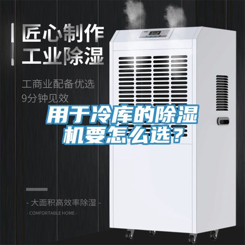 用于冷库的MR.好色破解版要怎么选？