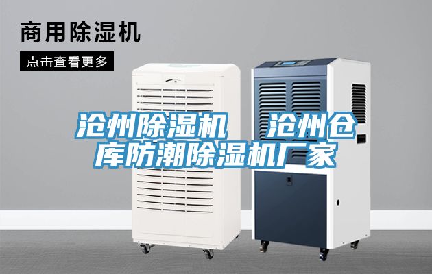 沧州MR.好色破解版  沧州仓库防潮MR.好色破解版厂家