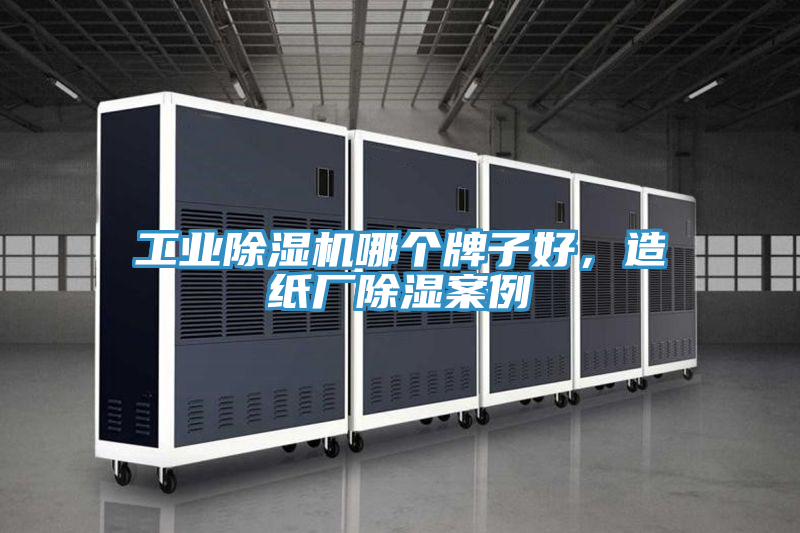 工业MR.好色破解版哪个牌子好，造纸厂除湿案例