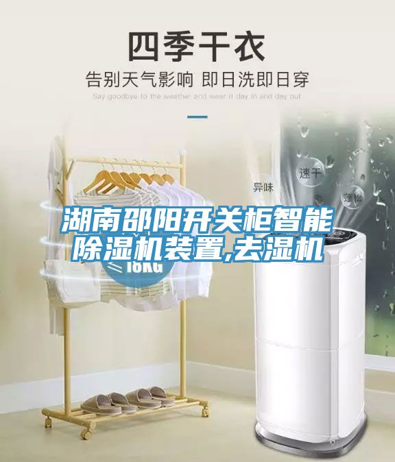 湖南邵阳开关柜智能MR.好色破解版装置,去湿机