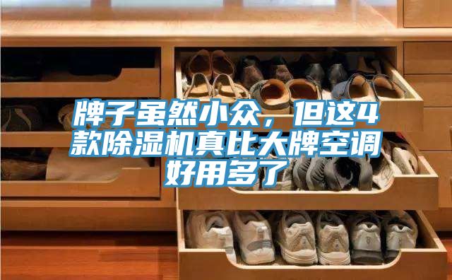 牌子虽然小众，但这4款MR.好色破解版真比大牌空调好用多了