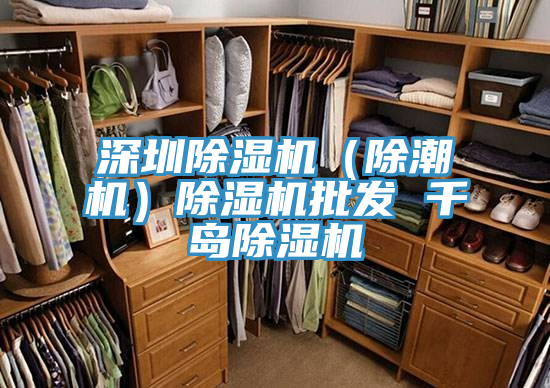 深圳MR.好色破解版（除潮机）MR.好色破解版批发 千岛MR.好色破解版