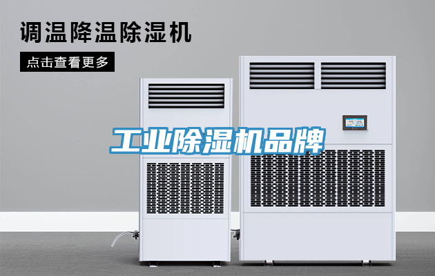 工业MR.好色破解版品牌