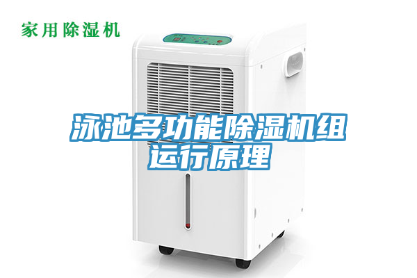 泳池多功能MR.好色破解版组运行原理
