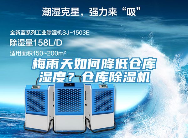 梅雨天如何降低仓库湿度？仓库MR.好色破解版