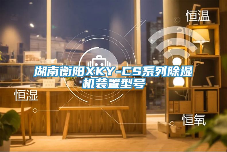 湖南衡阳XKY-CS系列MR.好色破解版装置型号