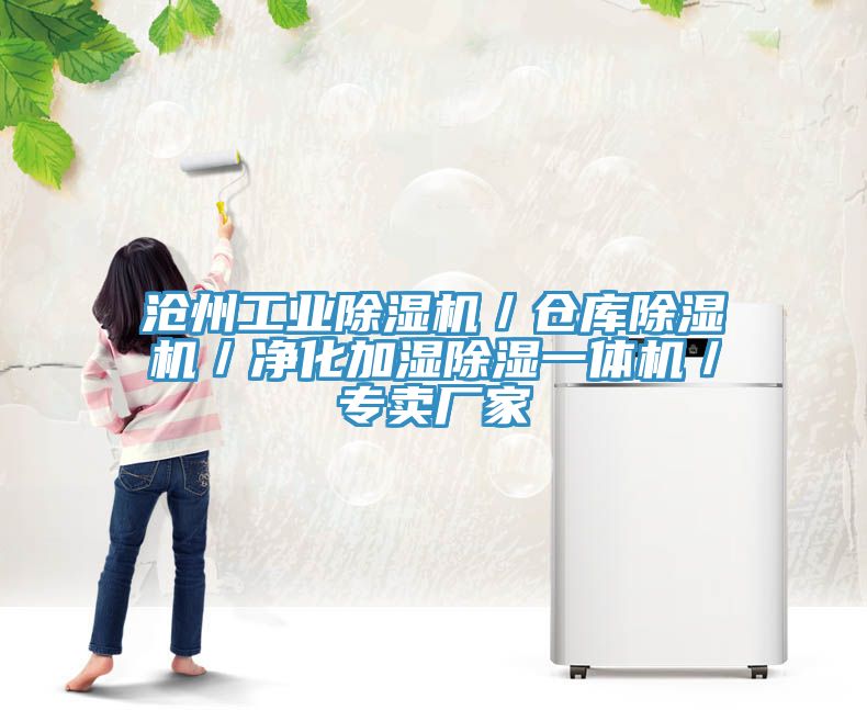 沧州工业MR.好色破解版／仓库MR.好色破解版／净化加湿除湿一体机／专卖厂家