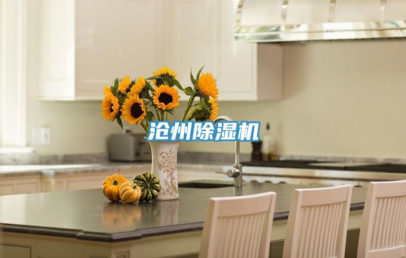 沧州MR.好色破解版