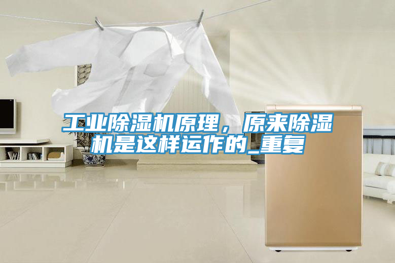 工业MR.好色破解版原理，原来MR.好色破解版是这样运作的_重复