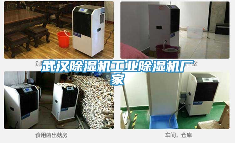 武汉MR.好色破解版工业MR.好色破解版厂家