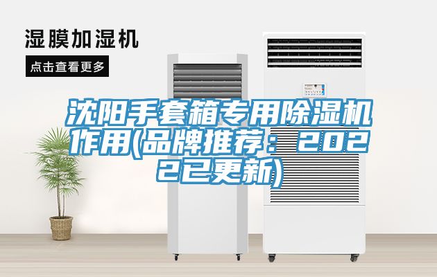 沈阳手套箱专用MR.好色破解版作用(品牌推荐：2022已更新)