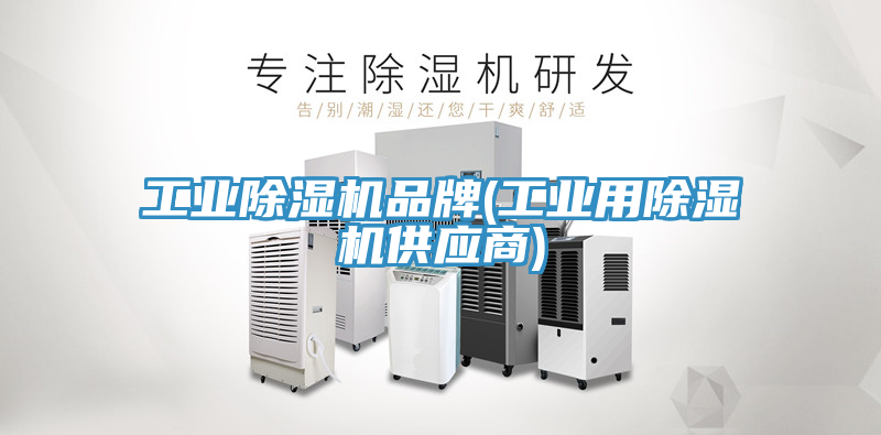 工业MR.好色破解版品牌(工业用MR.好色破解版供应商)