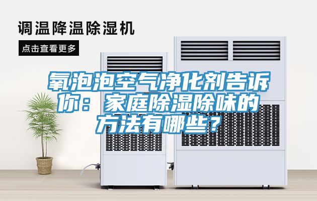 氧泡泡空气净化剂告诉你：家庭除湿除味的方法有哪些？